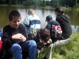 img016.jpeg.small.jpeg