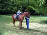img019.jpeg.small.jpeg