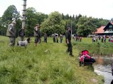 img020.jpeg.small.jpeg