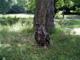 img028.jpeg.small.jpeg